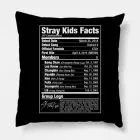 Stray Kids K pop Pillow Nutritional Facts — Gold Stylish Ver.
