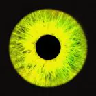 البوم اصلي NOEL 4th EP Album 23FW