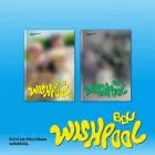Official Album BDU 1st Mini Album Wishpool Random Ver